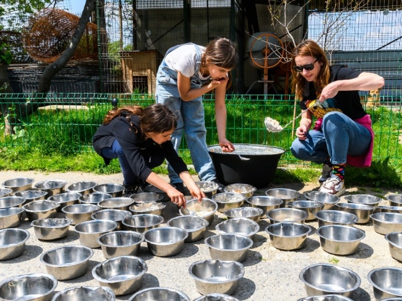 image_2024_03_01T12_13_58_125Z