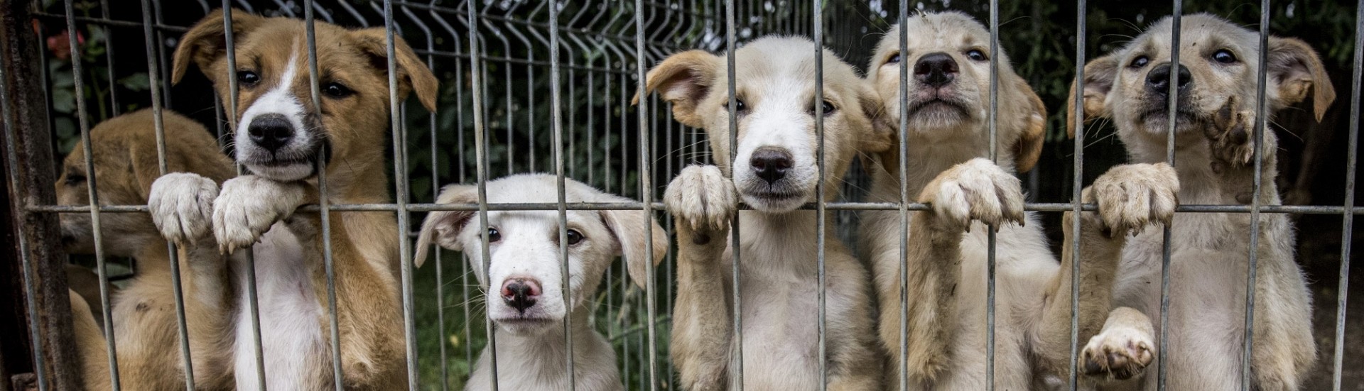 image_2024_03_01T12_24_01_850Z