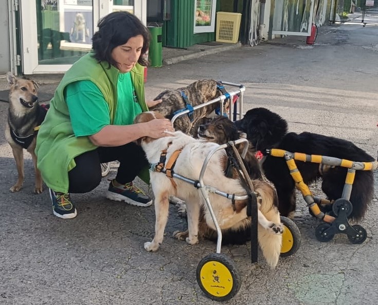 Paraplegici