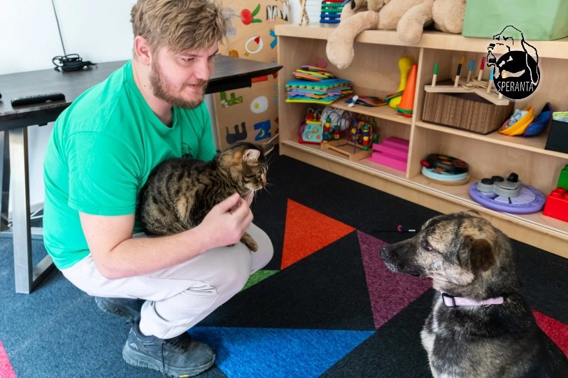 mesagerii-sperantei-3