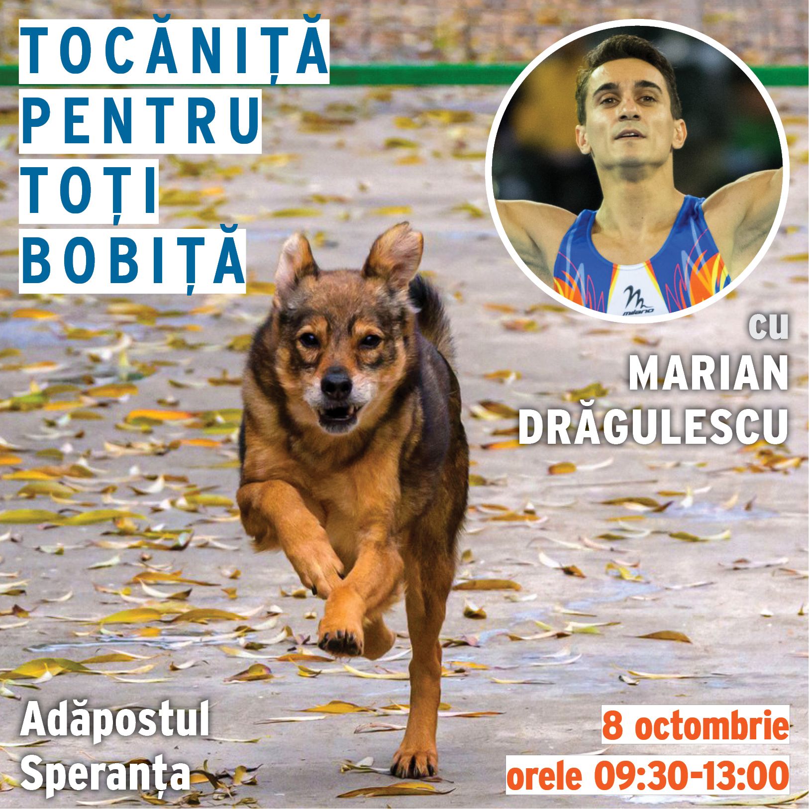 tocanita_2023-10-08_postare