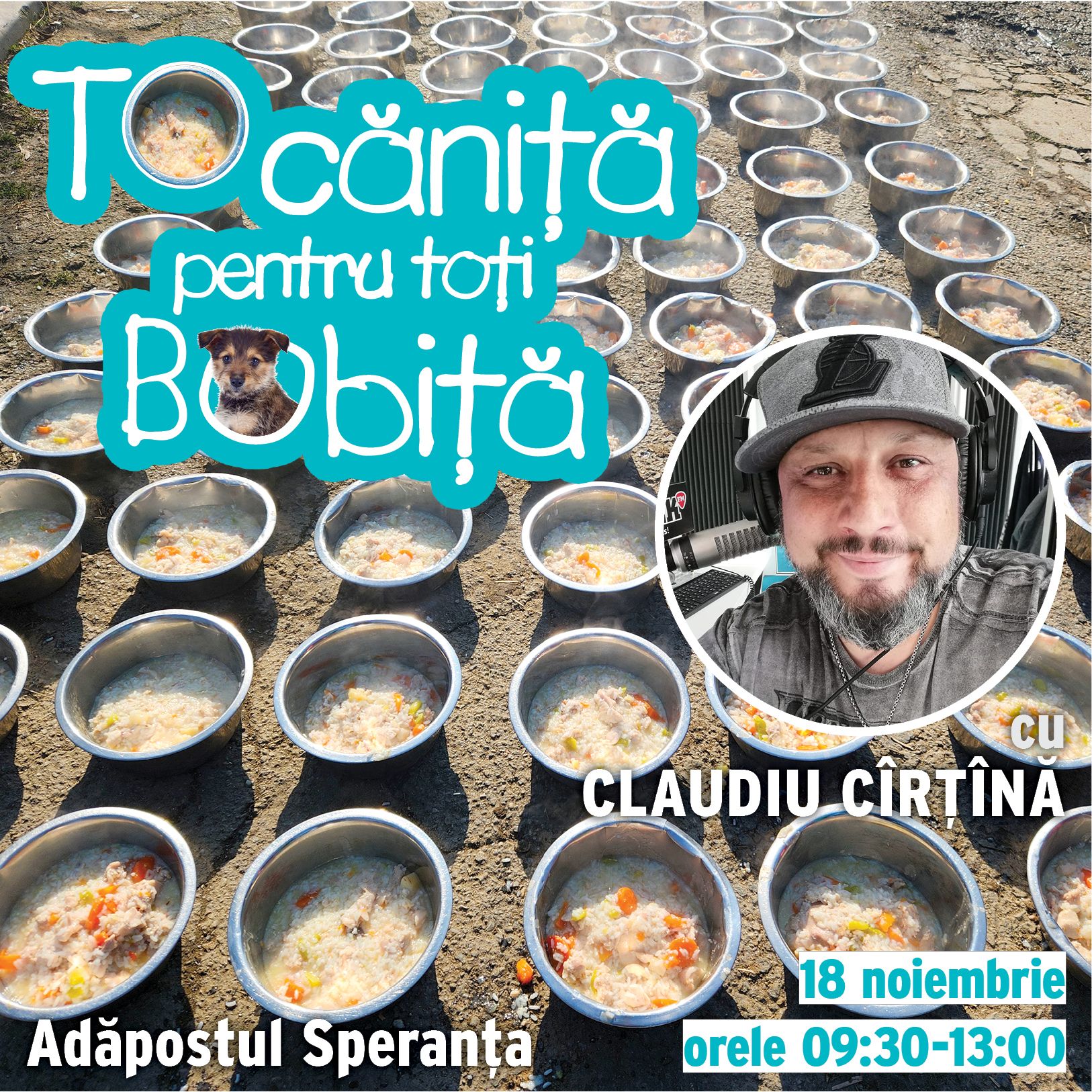 tocanita_2023-11-18-cirtina_postare(1)