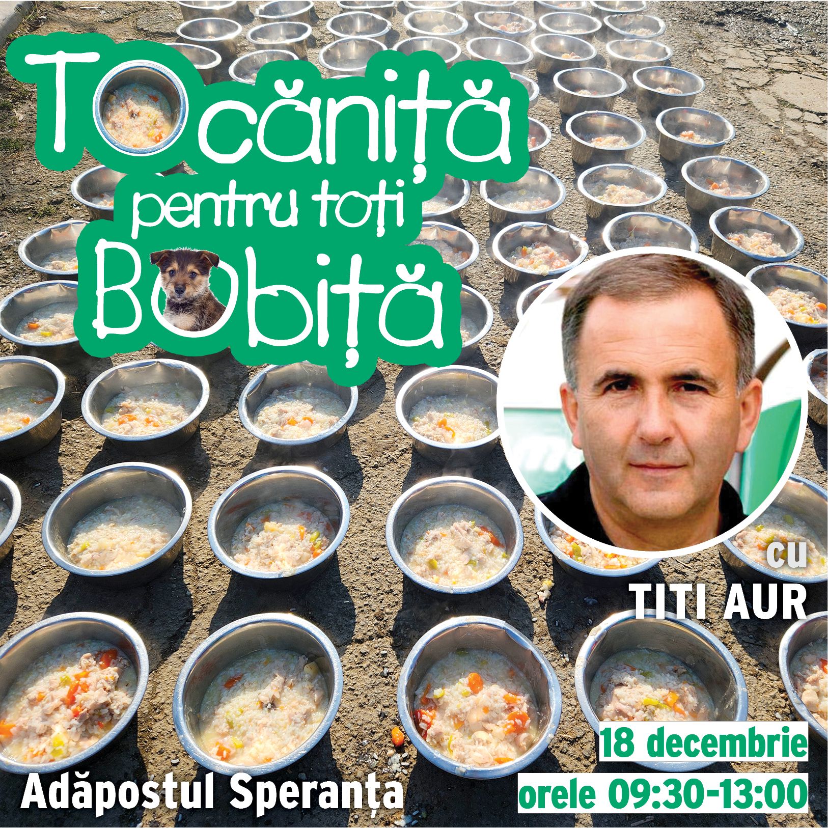 tocanita_2023-12-18-tocanita titi aur_postare