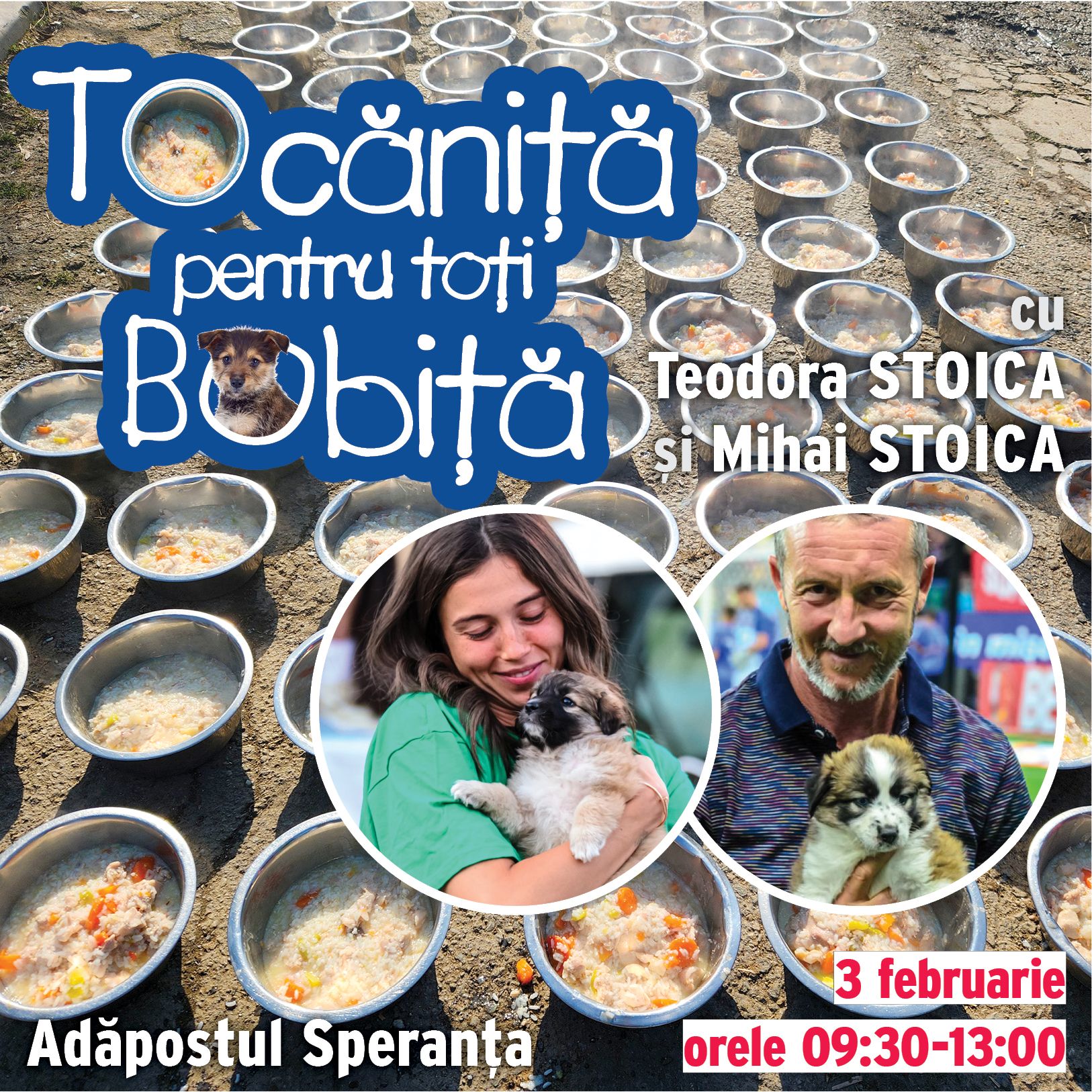 tocanita_2024-02-03-tocanita mm stoica_postare